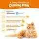Zesty Paws Calming Chews for Cats - 60 Count, Bacon 2