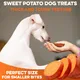 Brutus & Barnaby Sweet Potato Dog Treats Half-Slices 2lb 3