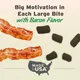 Pet Botanics Training Rewards Large Bites 20oz - Bacon 4