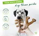 Benebone 2-Pack Medium Fishbone/Wishbone Dog Chew Toys 3