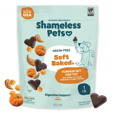 Shameless Pets Pumpkin Nut Par-Tay Dog Treats, 1 Pound