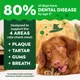Greenies Pumpkin Spice Dental Dog Treats 12oz 3