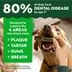 Greenies Dental Dog Treats 12oz Sweet Potato 3