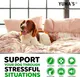 Yuma's Hemp Calming Chews for Dogs 240 Count 5